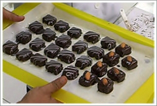 COKLAT HABBATUS SAUDA